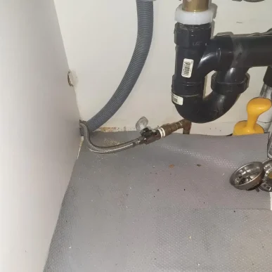 DISHWASHER-WATERLINE-INSTALL
