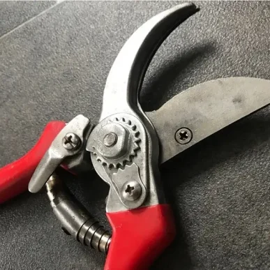 Refurbished-Pruners
